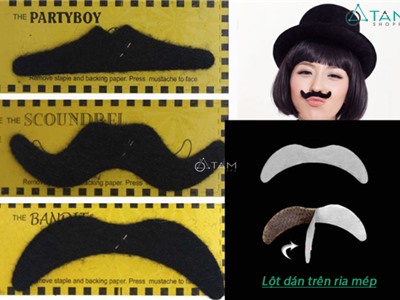 Bộ 6 cái ria mép giả